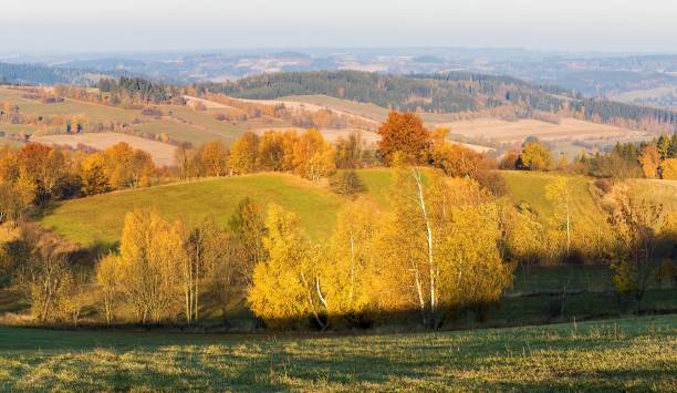istock autumn panorama with meadows fields and forests 1448923401
