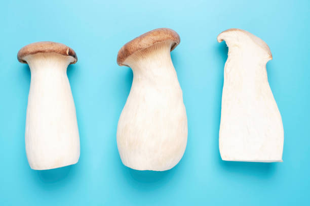 istock King oyster mushrooms on blue background close-up. 1448931647
