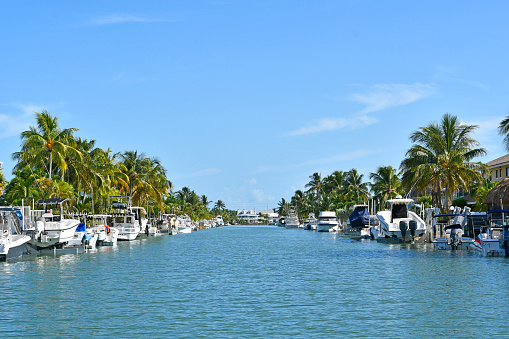 Canal view with palm trees along a canal at Marathon Key in the Florida Keys
