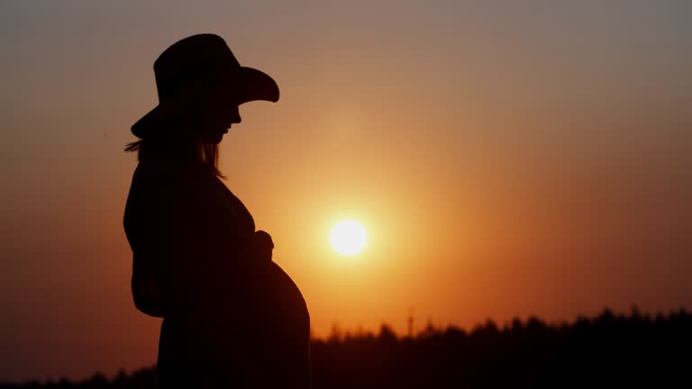 Silhouette pregnant woman in dress and hat touching belly standing in meadow outdoors during sunset