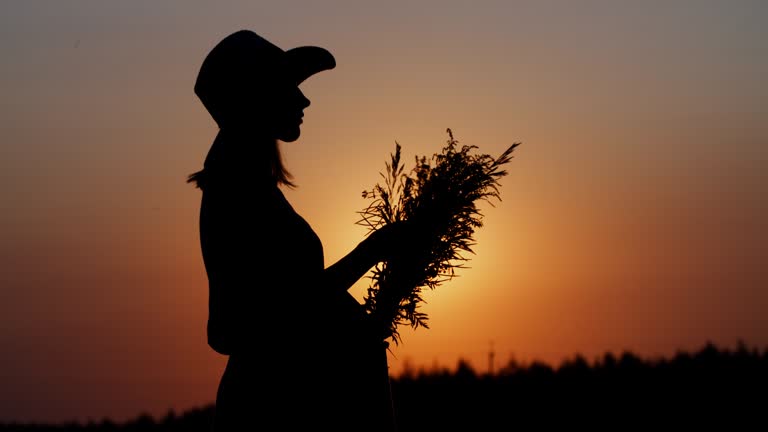 Silhouette pregnant woman in hat with flowers bouquet standing in meadow outdoors during sunset