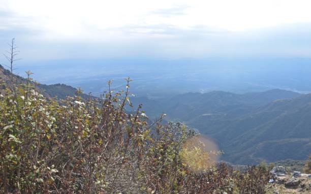 istock mountain view in uttrakhand , india 1448959490