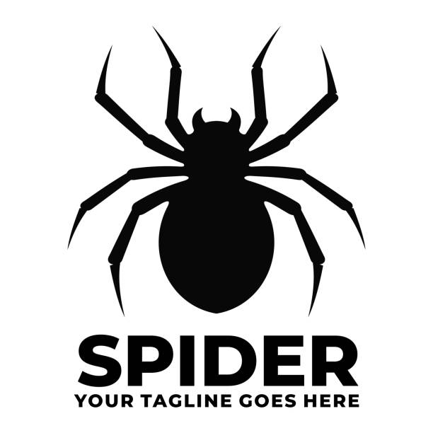 ilustrações de stock, clip art, desenhos animados e ícones de spider simple flat logo design vector - silhouette spider tarantula backgrounds