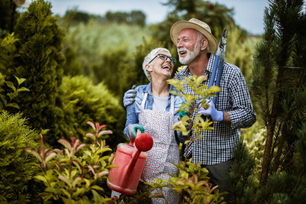 felice coppia matura giardinaggio il loro cortile nella giornata di primavera. - gardening couple senior adult ethnic foto e immagini stock