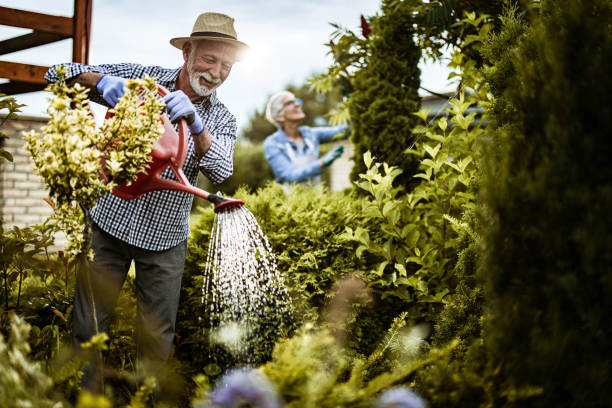 istock Smiling senior man gardening in the backyard. 1448989426