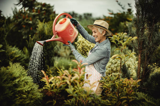 istock Happy senior woman enjoying while watering her plants. 1448989448