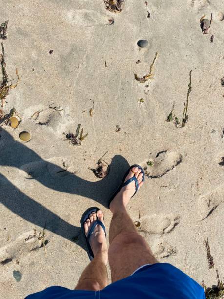 istock Young, fit man walking along on a beach 1448989697
