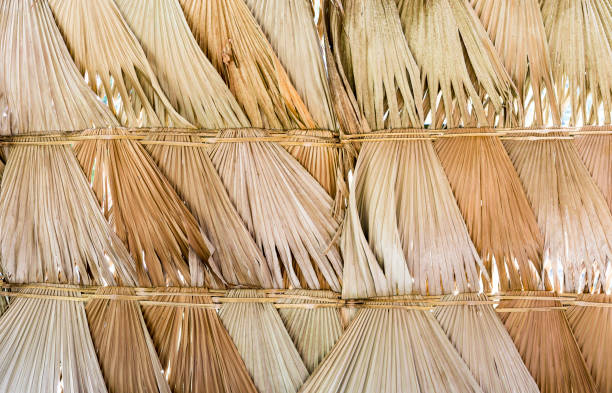 Wall protection made from dry palm leaves, nature texture concept