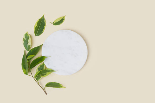 istock Marble podium and twig on beige background for product presentation 1448991793