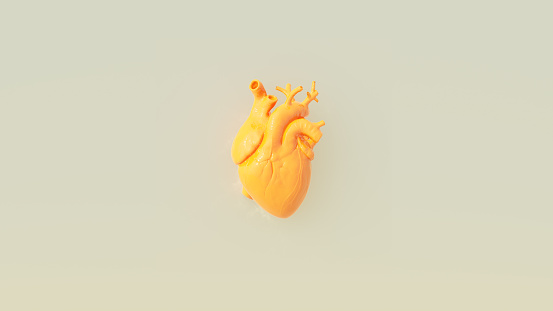 Yellow Orange Anatomical Human Heart Cover Artwork Concept Warm Grey Background 3d illustration render