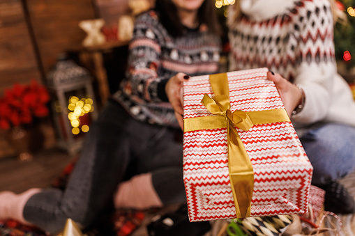 Selective focus shot of two unrecognizable young women sitting on the floor, by the Christmas tree and giving you a Christmas gift box.