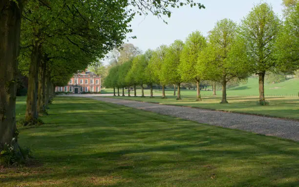 Scenic View of a tree Lined Path Leading to a Beautiful Victorian Era English Country House