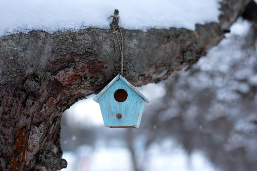 Wooden birdhouse hanging from tree in winter garden. Concept for new home. A bird house or bird box. Sweet home. Mini toy house. Property. Decorative Insect house.