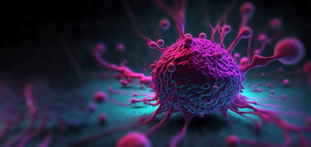 concepto de microambiente tumoral con células cancerosas, células t, nanopartículas, capa de fibroblastos asociada al cáncer de células normales, moléculas y vasos sanguíneos del microambiente tumoral - célula fotografías e imágenes de stock