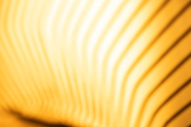 Abstract gold color line background