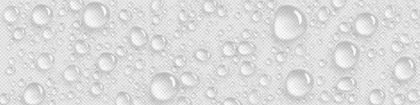 Vector illustration of Pure water drops on transparent background