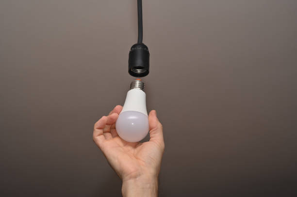 istock The hand changes the light bulb into the cartridge. 1449010595