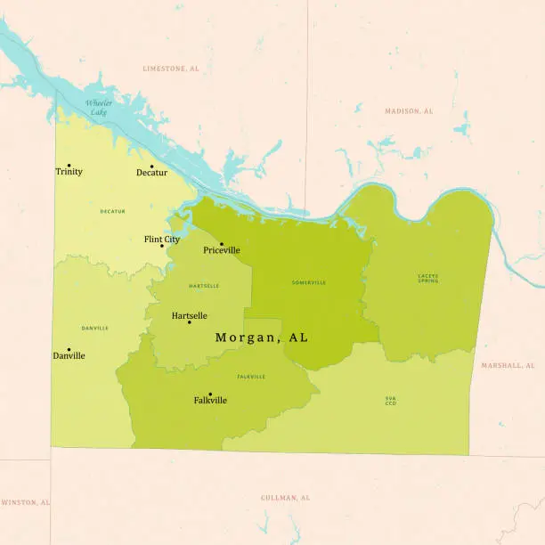 Vector illustration of AL Morgan County Vector Map Green