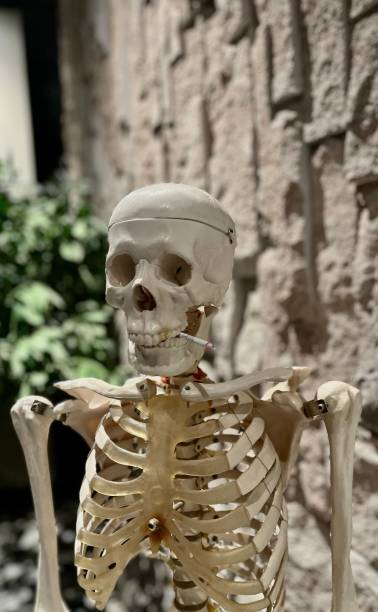istock Vertical shot of a skeleton with a cigarette - smoking kills concept 1449018158