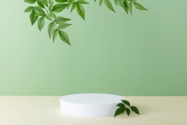 istock Abstract empty white podium with palm leaves on beige background 1449019249