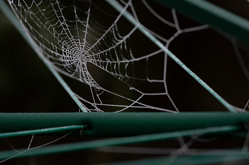 Frozen frost laden cobweb on a rotary drier.