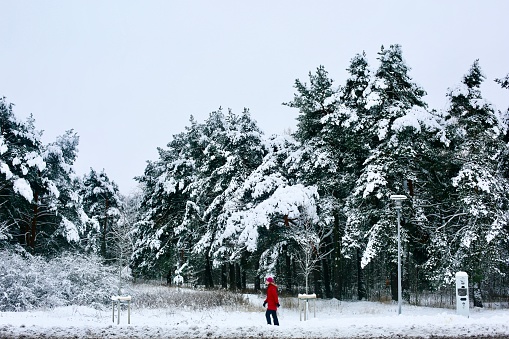 Tallinn, Estonia - Dec 11 2022 - Woman in Red Walking Through a Forest