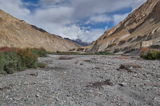 istock Snow-capped mountain in Markha valley, Ladakh 1449029221