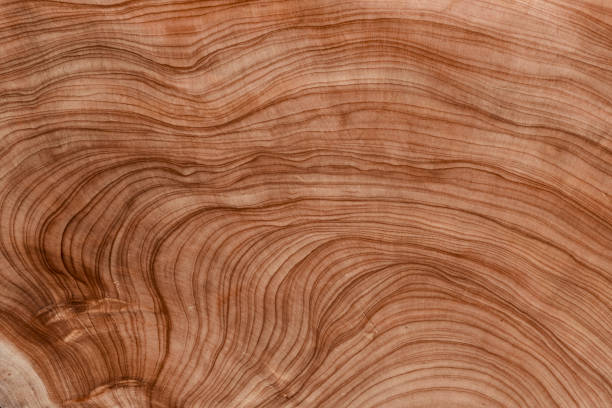 istock Closeup on sample of wooden surface. 1449029709