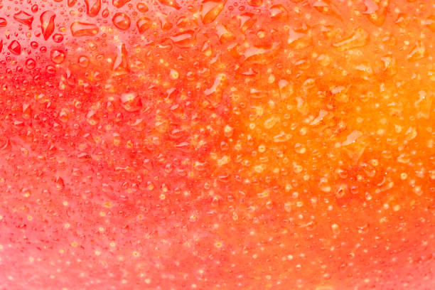 istock Detail shooting with ripe mango. 1449029861