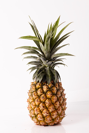 Single pineapple on white background, tropical fruit.