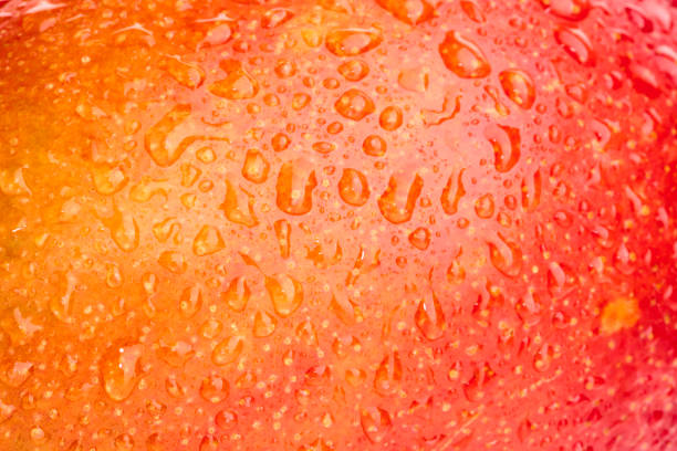 istock Close-up shooting with ripe summer fruit. 1449031149