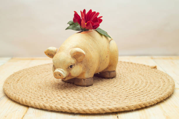 group of piggy bank on red background