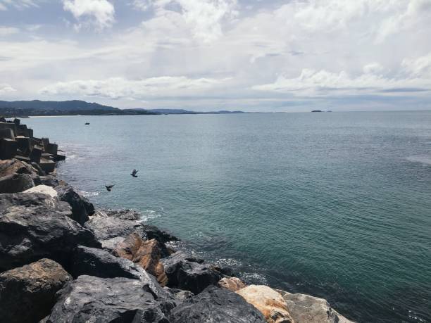 istock Harbour Coastline and sea gull 1449034853