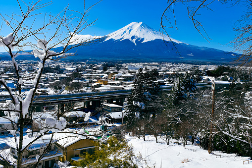 Mt.Fuji and city viewpoint