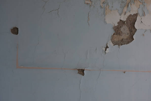 istock Detail of abandoned, run-down house wall. 1449038057