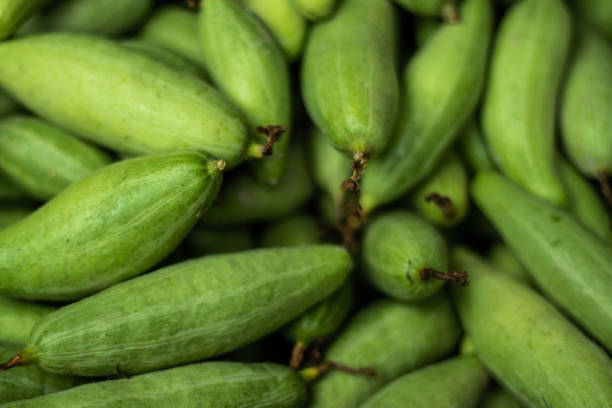 Pointed Gound 1,600+ Pointed Gourd” Stock Photos, Pictures & Royalty-Free Images - iStock