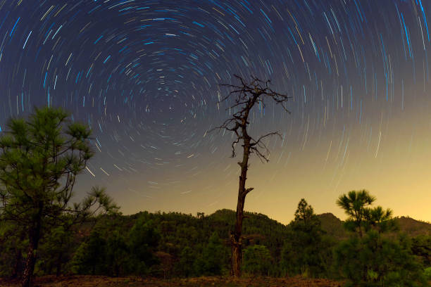 istock Circumpolar sky in Gran Canary island 1449052556