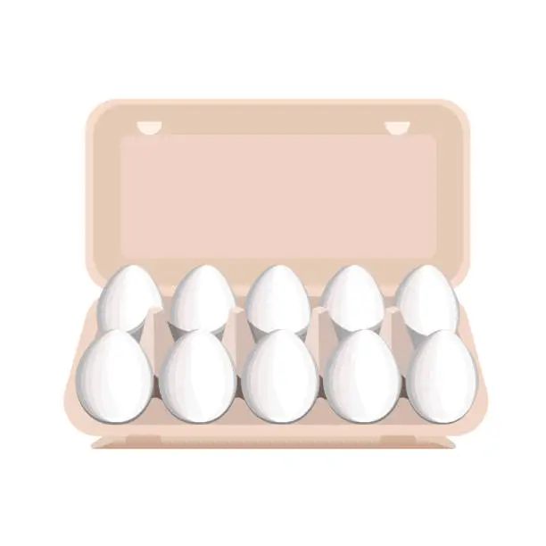 Vector illustration of Ten white eggs in a cardboard box with cells, isolated on a white background.Vector illustration for supermarket designs.