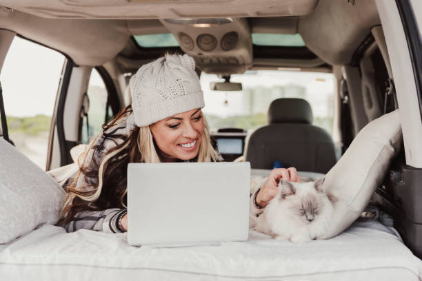woman with a bobble hat using laptop while lying with cat in camper trailer. digital nomad lifestyle - lying down women laptop freedom imagens e fotografias de stock