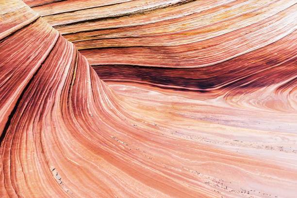 istock The Wave in the USA 1449065839
