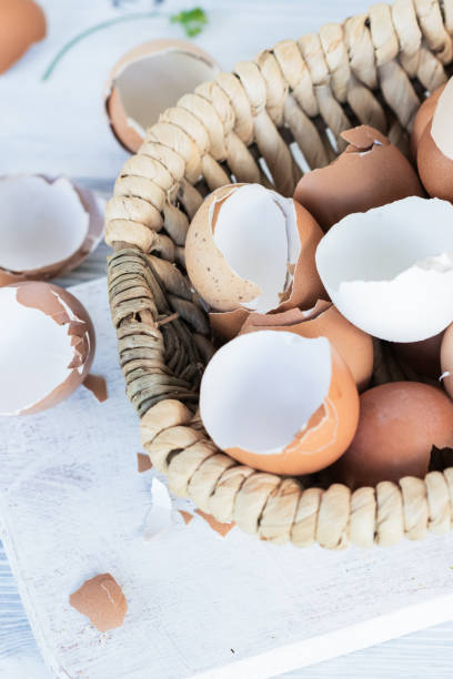 Brown and white eggshells placed in basket on white table, natural calcium source stock photo