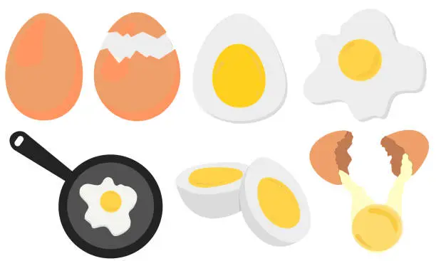 Vector illustration of Set of Eggs, Cartoon broken eggs with cracked eggshell