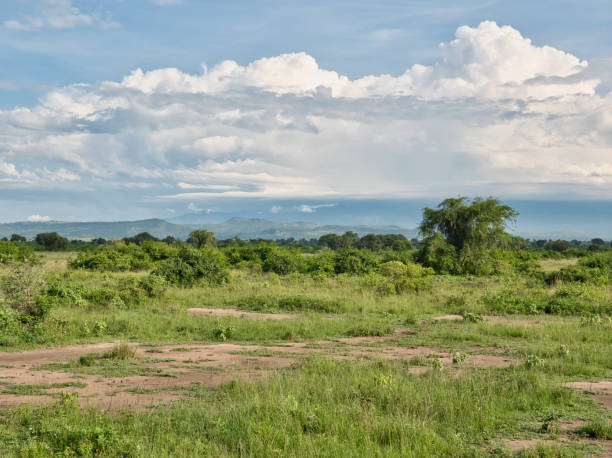 istock A view on the Rwenzori mountains seen from Katunguru (Queen Elizabeth National Park) 1449070453