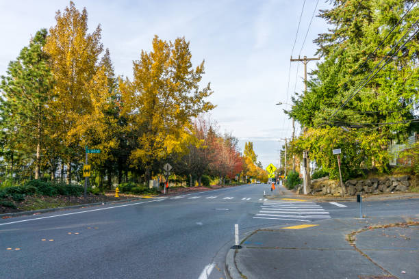 istock Seatac Street Autumn Trees 8 1449081036