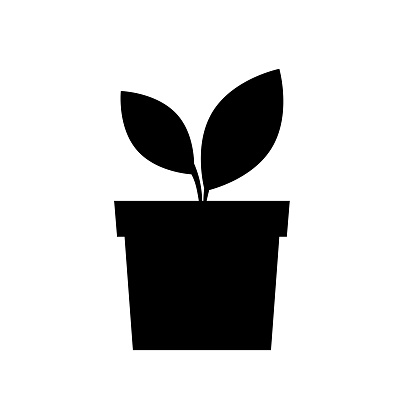A silhouette icon of a potted plant on a transparent background.