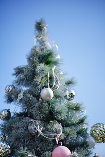 Close-up photo of Christmas decorations on the Christmas tree