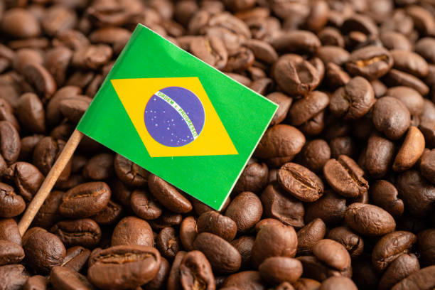 istock Brazil flag on coffee bean, import export trade online commerce concept. flag on coffee bean, import export trade online commerce concept. 1449098778