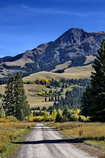 istock Along Tom Miner Creek Road in Montana 1449098858