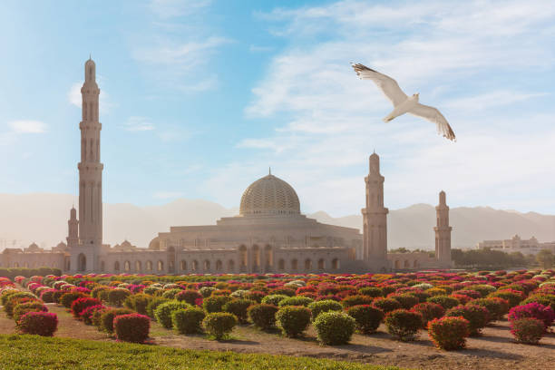 Muscat Sultan Qaboos Grand Mosque, Oman Muscat Sultan Qaboos Grand Mosque building architecture, Oman grand mosque stock pictures, royalty-free photos & images