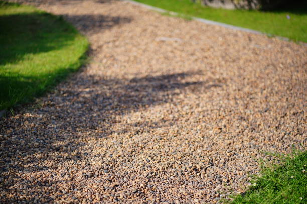 istock Stoney footpath  and  green grass 1449102118